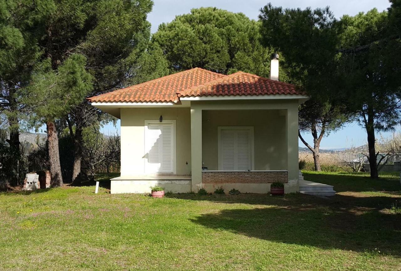 Villa Sunny Day Marathón Екстериор снимка